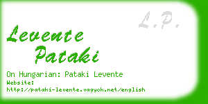 levente pataki business card